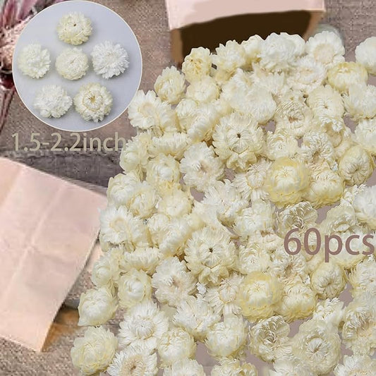 60 Pcs Natural Dried Daisy Flowers Heads Bulk Gerbera Daisies White Real Sunflowers Chrysanthemum Dry Flower Arrangements for Wedding Decor Home Party Decoration Headband DIY Craft
