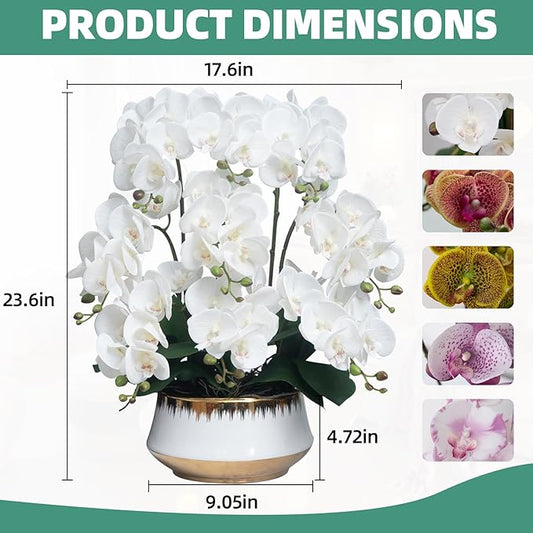 CXGS Orchids Artificial Flower Real Touch Faux Orchid in Large Ceramic Vase 23.6'' Realistic White Fake Phalaenopsis Floral Arrangements Centerpiece Table Home Indoor Decor