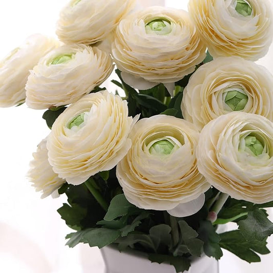 Artificial Ranunculus Flowers with Real Touch Stem, Silk Ranunculus Flowers(10 Pack) (White)