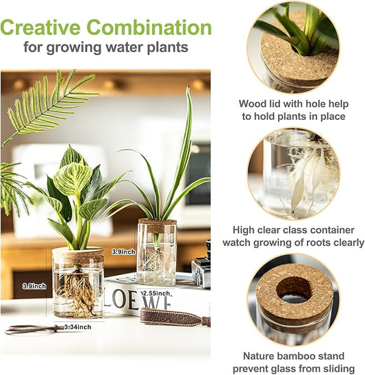 Glass Plant Propagation Stations for Plants – Set of 8(4 Large & 4 Small) Hydroponic Vases for Plant Cuttings,Flower Arrangements, Home & Office Decor–Desktop Vases for Living Room, Bedroom (8)