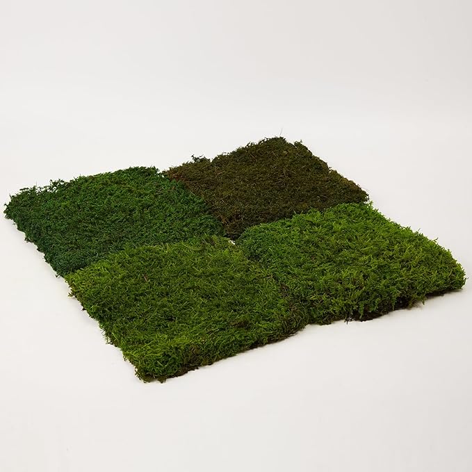 Preserved Sheet Moss Natural Green Decorative Real Natural Green DIY Kit Gardenning Art Wall Decor Florist Decor Easter Table Decor Wedding(4 sq.ft.) (Green-A,Green-B,Green-C)