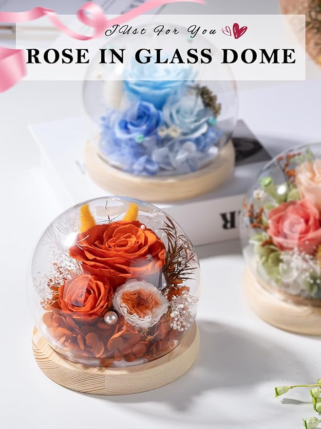 FIACO Preserved Rose Birthday Gift for Women Forever Fresh Flowers for Prime Delivery Gift for Mom Grandma Wife Valentines Mothers Day Christmas Anniversary Eternal Roses in Glass Dome