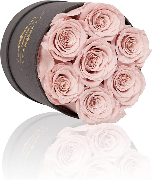 NATROSES 7 Piece Preserved Roses in a Box, Preserved Flowers for Birthday, Flower Gifts for Mothers Day (Dusty Rose)