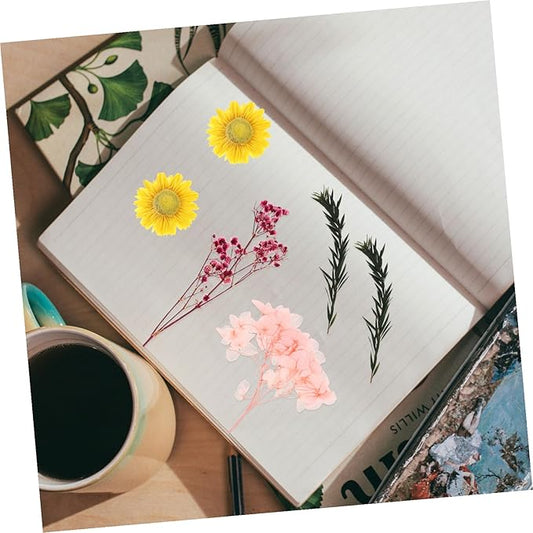 Natural Dried Flowers Material Bag for DIY Crafts Pressed Floral Bouquet Making Kit Romantic Handcraft Supplies for Greeting Cards Home Decoration and Wedding Embellishments