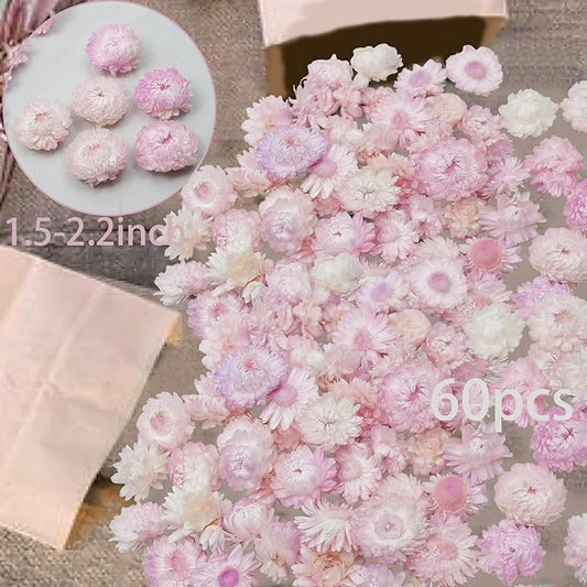 60 Pcs Natural Dried Daisy Flowers Heads Bulk Gerbera Daisies Pink Real Sunflowers Chrysanthemum Dry Flower Arrangements for Wedding Decor Home Party Decoration Headband DIY Craft