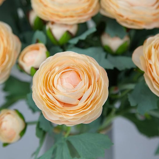 Artificial Ranunculus Flowers with Real Touch Stem,Silk Ranunculus Flowers (Champagne, 6pcs)