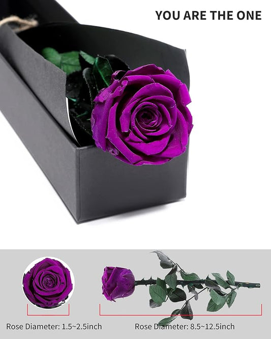 Purple Flowers for Delivery Prime, Preserved Purple Roses Flower Gifts for Women, Real Roses Single Rose Gifts for Her, Mom Birthday Gifts from Daughter, Valentines Flowers