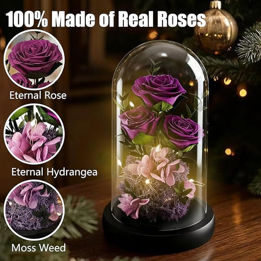 Birthday Gifts for Women Mom Fresh Flowers for Delivery Prime Forever Preserved Rose in Glass Dome Gifts for Her Girlfriend Grandma Daughter Wife Valentines Mothers Day Christmas Anniversary-Purple 