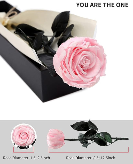 Pink Flowers for Delivery Prime, Preserved Pink Roses Flower Gifts for Women, Real Roses Single Rose Gifts for Her, Mom Birthday Gifts from Daughter, Valentines Flowers
