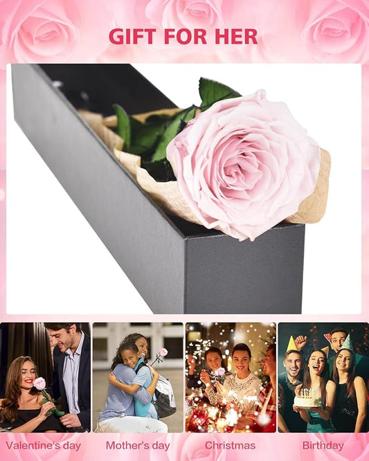 Pink Preserved Flowers Gifts for Women: Eternal Rose Birthday Christmas Anniversary for Mom Girlfriend Wife Grandma