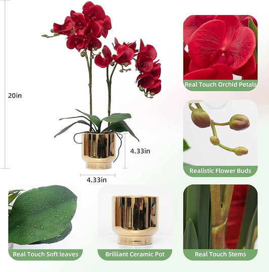 CXGS Orchids Artificial Flowers Real Touch Fake Flowers in Ceramic Pot 20" Red Faux Orchid Plant Lifelike Silk Phalaenopsis for Centerpiece Hotel Home Indoor Decor