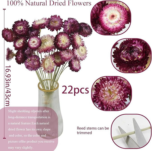 CITYES 22 Pcs Natural Dried Daisy Flowers Bouquet Dried Flower Purple Daisies Dried Sunflowers Chrysanthemum with Stem for Wedding Farmhouse Table Vase Decor Home DIY Flower Arrangement