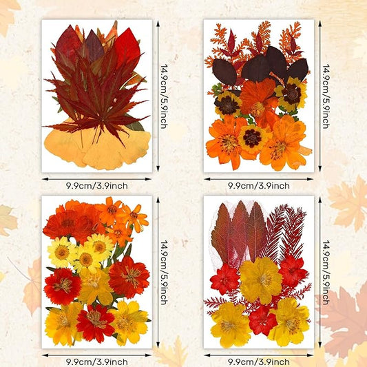Augshy Fall Dried Pressed Flowers Orange Pressed Fall Leaves for Crafts Resin Molds Real Red Brown Yellow Pressed Leaves for Scrapbooking, Epoxy Resin Supplies
