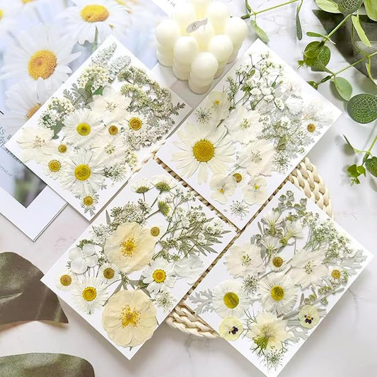 95 Pcs White Pressed Dried Flowers for Resin, Real Natural Bulk Dry Wildflowers Leaves Perfect for Epoxy Molds, DIY Crafts, Home Decor, Soap Candles Jewelry Making