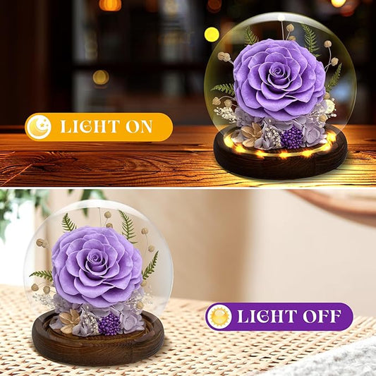 Preserved Rose Forever Flower in Glass - Birthday Gifts for Women Mom, Real Flowers for Delivery Prime | Rose Gift for Grandma Wife Sister Friend (Purple)