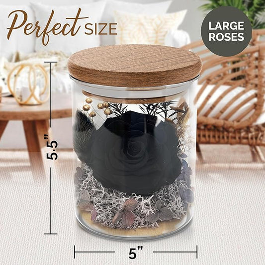 Black Rose Premium Eternal Roses - Real Preserved Rose in Glass Dome - Gothic Style Decor for Funeral Occasions