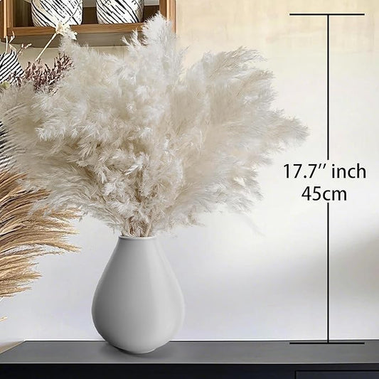 30PCS White Pampas Grass for Home Decor - Elegant Boho Decor - Premium Quality Pampas Grass Stems - Perfect for House, Nursery, Western, Wedding, Table, and Bohemian Decor