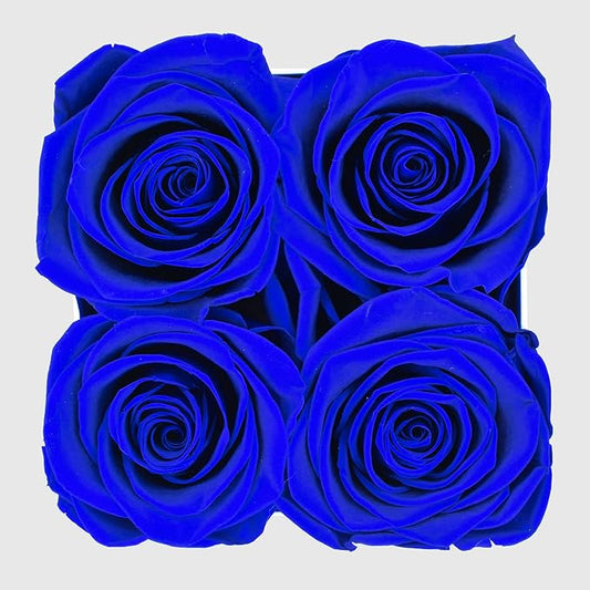 Graceful Fleurs | Real Long Lasting Roses for Years | Preserved Fresh Flowers for Delivery Birthday | Birthday Gifts for Women | Forever Roses in a Box (Blue, White Box, 4 Roses)