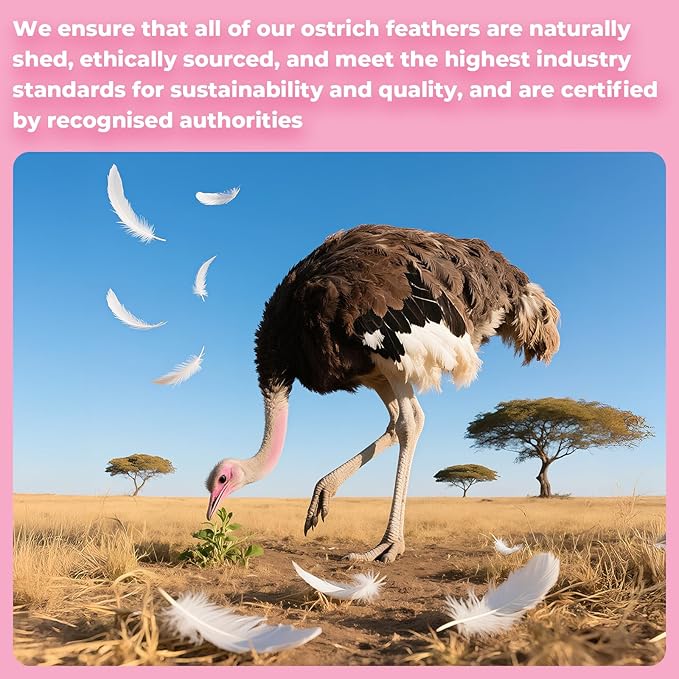 Piokio 20pcs Pink Ostrich Feathers 10-12 inch (25-30cm) Bulk Feathers for Home Decoration and DIY Clothes Decoration, Gatsby Decorations