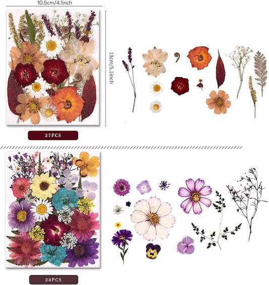 5 Packs of 140 Pressed Dried Flowers and Leaves Real Natural Dried Flowers with Tweezers for DIY Crafts, Resin Jewelry, Card Making, Soap, Candles, Nail Art, and Scrapbooking (5 Colors)