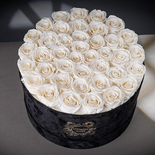 40 Pieces Preserved Roses in Suede Box, Flowers for Mothers Day, Preserved Flowers Gift for Women, White