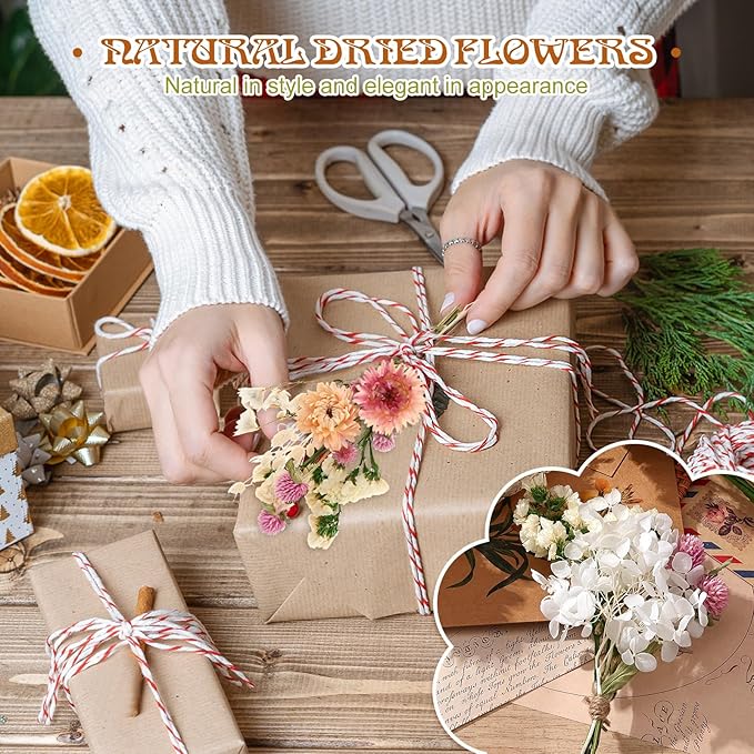 10 Kinds of Dried Flowers for Crafts Green Series Natural Dried Flowers Dry Hydrangea Daisy Babys Breath with Stems Boho Wedding Flower Bouquets with Hemp DIY Floral Arrangement Rope for Home Decor
