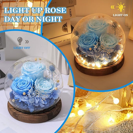FIACO Valentines Gifts for Her Preserved Flowers in Glass Dome Long-Lasting Eternal Roses Birthday Gifts for Women Mom Grandma Wife Girlfriend Blue Forever Flowers for Delivery Prime