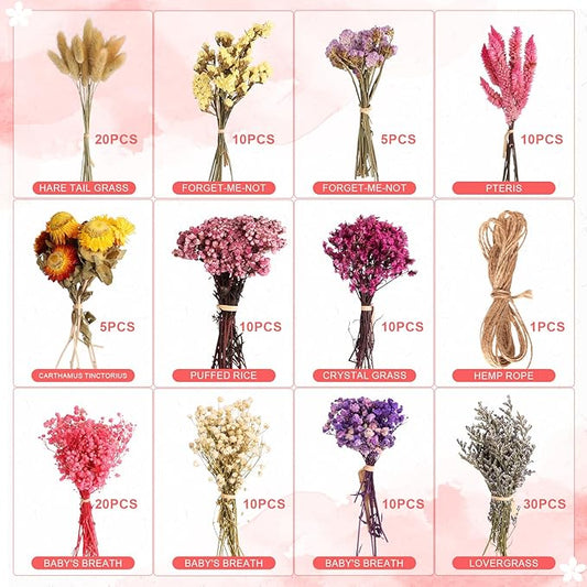 11 Kinds of Dried Flowers for Crafts Bulk DIY Natural Multi-color Dried Pampas Grass Lavender Forget Me Not Babys Breath with Stems Dry Flower Bouquets with Hemp Rope for Home Decor Floral Arrangement