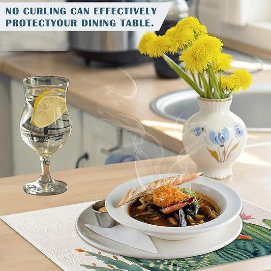 Cute Cactus Placemats Set of 4, Succulent Place Mats Non-Slip Heat Resistant Washable Placemat for Party Kitchen Dining Table Decoration Indoor Outdoor 12x18 Inch