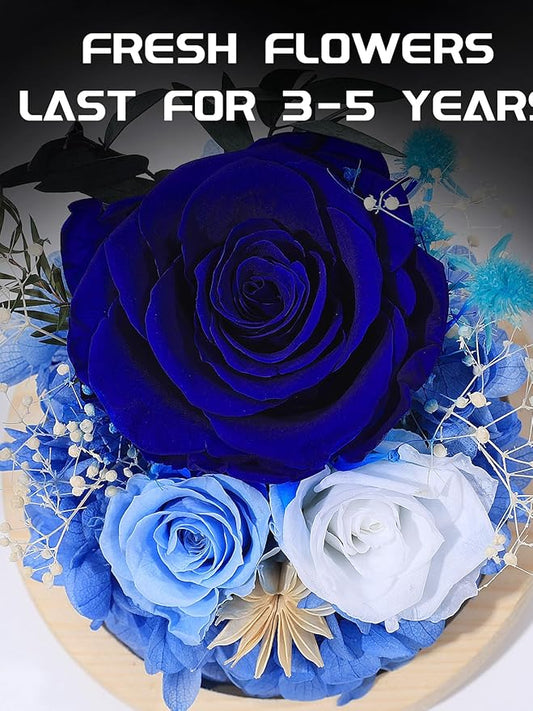 FIACO Preserved Rose Birthday Gift for Women Forever Fresh Flowers for Prime Delivery Gift for Mom Grandma Wife Valentines Mothers Day Christmas Anniversary Eternal Roses in Glass Dome