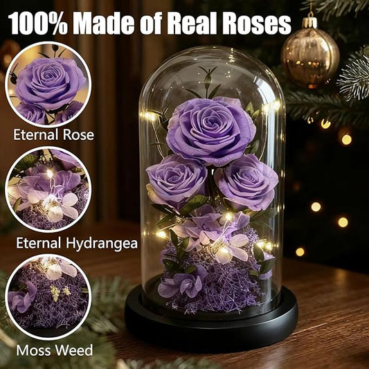 Birthday Gifts for Women Fresh Flowers for Delivery Prime Forever Preserved Rose in Glass Dome Gifts for Her Girlfriend Grandma Daughter Wife Valentines Mothers Day Christmas Anniversary-Light Purple
