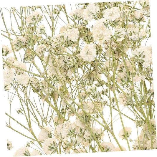 Natural Eternal Dried Flower Bouquet DIY Kit Stems S Breath Floral Adornments for Home Decor Vase Filling Rustic Wedding Decorations