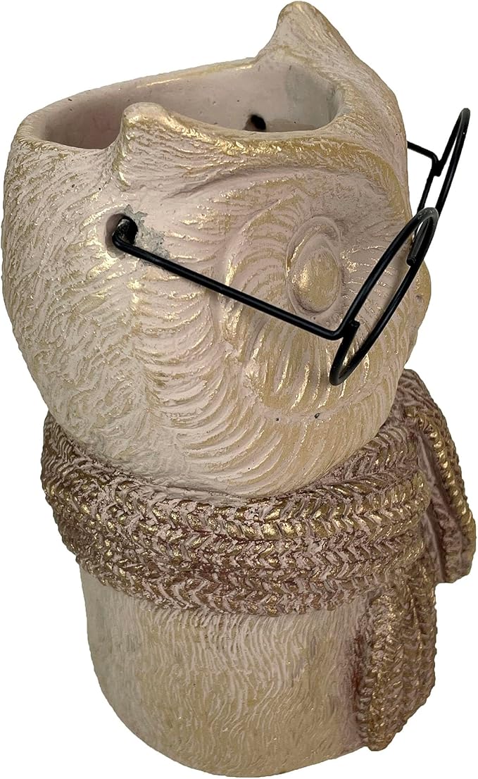 Bespectacled Owl Cement Vase 8.25 Inch – Whimsical Animal Planter with Real Glasses, Knit Textured Scarf, and Gold Metallic Accents, Distressed Taupe Finish, Unique Indoor Decor Gift