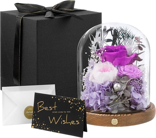 Large Preserved Flowers with Card&Box-Flowers for Delivery Prime,Eternal Rose with Lights,Roses in Glass Dome,Romantic Gift for Her,Decoration,Fresh Rose Flowers for Mom,Birthday,Anniversary (Purple)