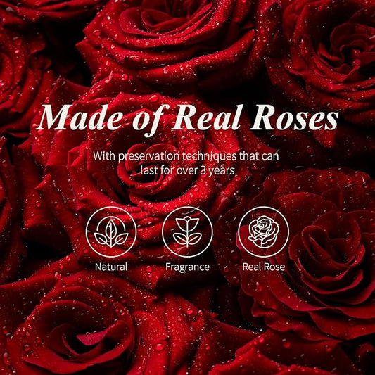 Forever Rose in Glass Dome,12.3 Inch Preserved Real Roses Gift, Long Lasting Eternal Flowers for Women, Mom, Wife, Valentine's Day, Anniversary, Red