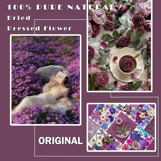 91Pcs Purple Pressed Dried Flowers for Resin Molds, Assorted Real Natural Bulk Dry Floral Leaves for DIY Art Crafts, Epoxy Jewelry, Candle, Soap Making, Nails Decors Gifts