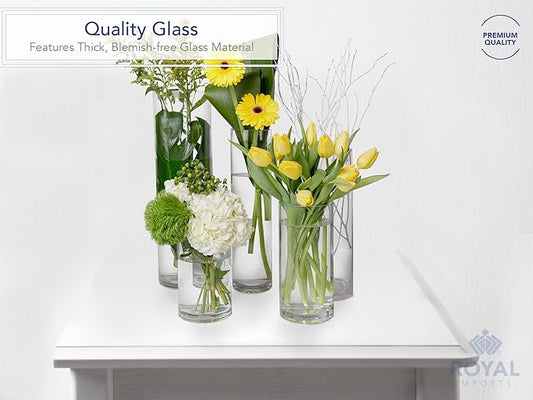 Royal Imports Flower Glass Vase Decorative Centerpiece for Home or Wedding - Cylinder Shape, 16" Tall, 4" Opening, Clear