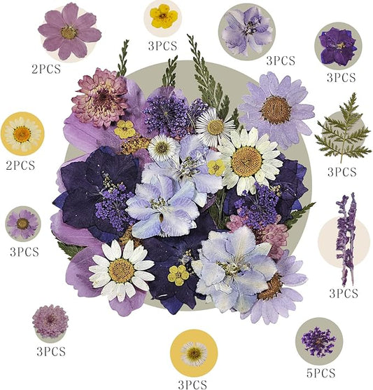 CONVELIFE Pressed Flowers Purple 33 Pcs of 12 Types, Real Dried Flowers for Resin Plant Herbarium, Dried Flowers for DIY Jewelry Molds, Art Crafts Scrapbooking, Candle, Soap Making