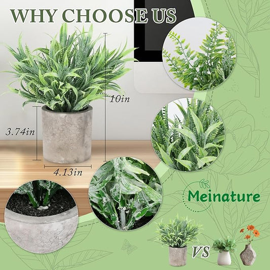 2 Pack Mini Potted Fake Plant, Artificial Plants Indoor, Artificial Frost-Hung,Eco-Friendly Gray Pot, No Need for Maintenance,Ideal Decor for Home and Office (2, Spring Grass + Wild Fern)
