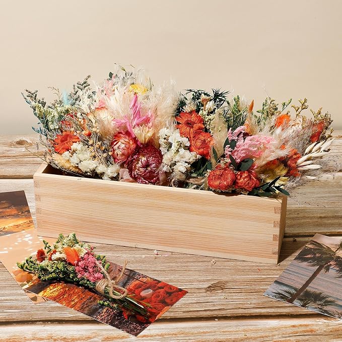 Layhit 12 Pack Boho Dried Flower Bouquet Mini Wedding Handmade Dry Flowers Decor for Vase Crafts DIY Photo Boutonniere for Men Floral Plant for Bridesmaid Gift Birthday Decor(African Daisy)