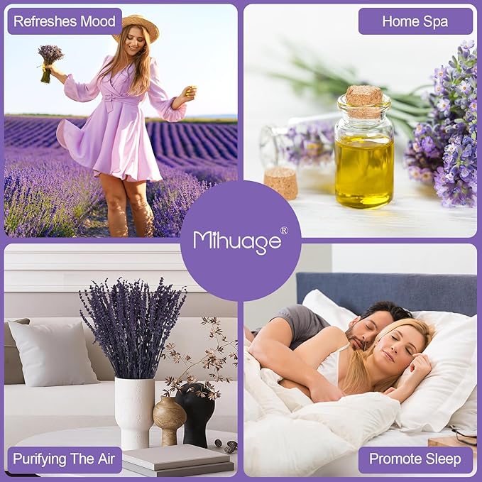 Dried Preserved Lavender Flowers - 2 Bundles with 3.5oz for Home Decor, DIY Arrangements, Photo Props, & Fragrance - 15"-17", Purple Lavender Bunches.