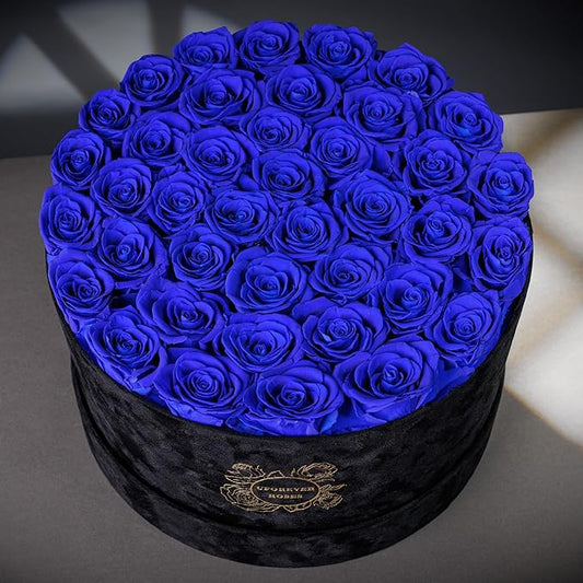 40 Pieces Preserved Roses in Suede Box, Flowers for Mothers Day, Preserved Flowers Gift for Women, Royal Blue