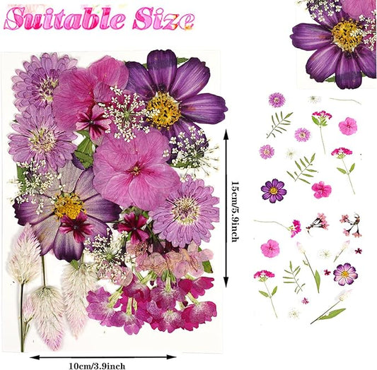 Purple Dried Pressed Flowers Bulk Dried Flowers for Crafts, Real Natural Bulk Dry Flowers for Resin Molds ,for Scrapbooking DIY Candle Soap ewellery Making Gifts