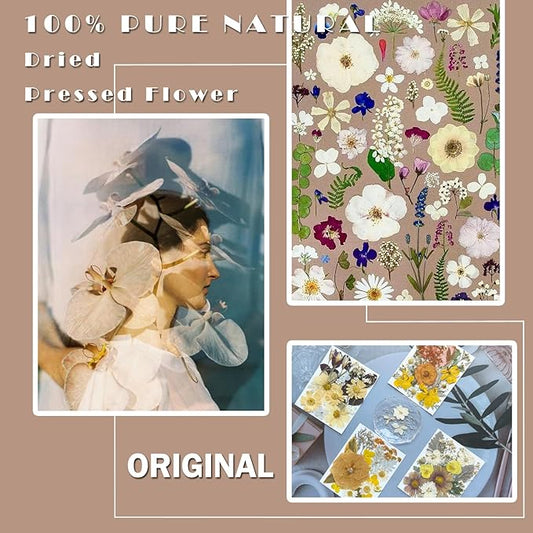 90Pcs Dried Pressed Flowers for Resin Molds, Vintage White Bulk Real Natural Dry Floral for DIY Art Crafts, Epoxy Jewelry, Candle, Soap Making, Nails Decor, Phone Case