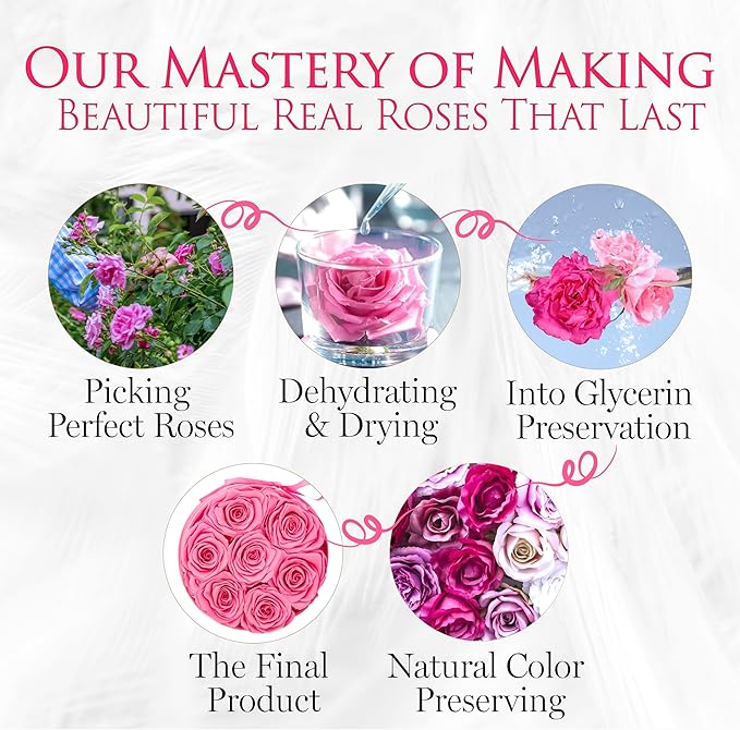 GLAMOUR BOUTIQUE Eternal Preserved Roses in a Box - Flowers Forever, Rose Forever in a Box for Wife, Birthday Gifts for Her, 7 Roses, Velvet Pink