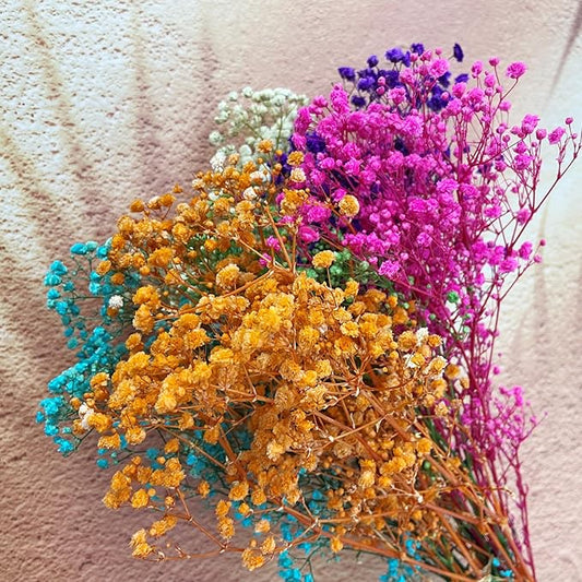 Preserved Baby's Breath, 100% Natrual Gypsophila Long Lasting Flowers for Vase Arrangements Home Decoration Photo Props Parties and Weddings, DIY Décor-Mix