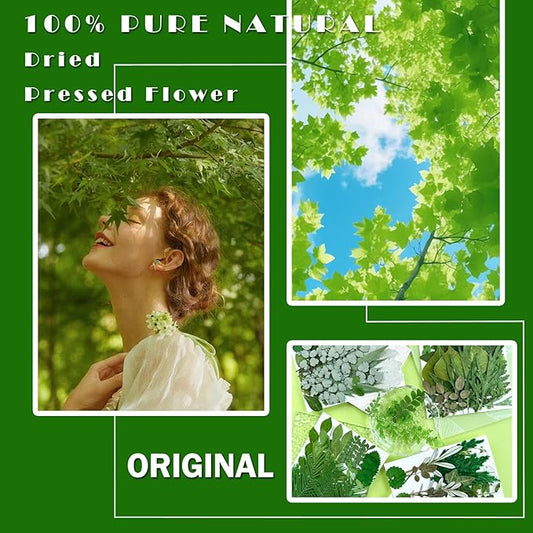 84Pcs Pressed Dried Leaves for Resin Molds, Assorted Real Natural Bulk Dry Flowers for DIY Art Crafts, Epoxy Jewelry, Candle, Soap Making, Nails Decors Gifts