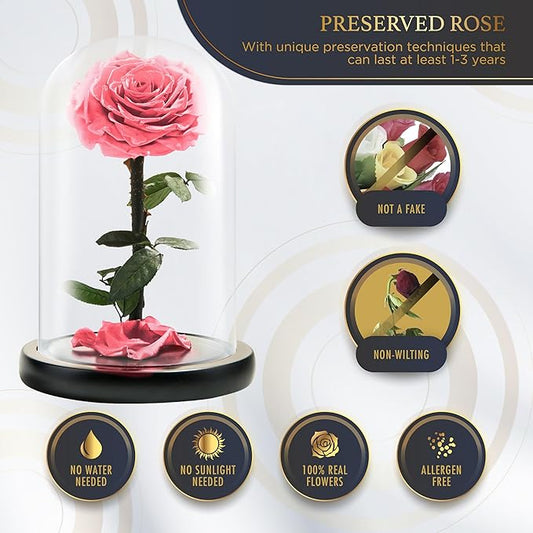 Forever Preserved Rose - Eternal Rose in Glass Dome - Beauty and The Beast Rose for Mom - Fresh Flowers for Delivery Prime (Pink, 9 Inch)