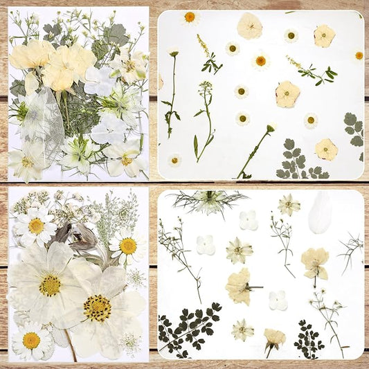 CONVELIFE Dried Flowers for Resin, Vacuum Packed DIY Pressed Flowers for Epoxy, Jewelry, Candles, Soap, Nail Production (80PCS White Dried Flowers)