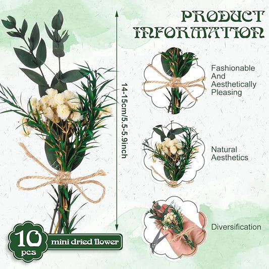 VAIPI 10 Pack Dried Flower Bouquets Green Series Natural Dried Plant with Stem Mini Flower Bundles Artificial Eucalyptus for Vase, DIY, Farmhouse Decor,Wedding Crafts,Home Party Fake Plant Decor